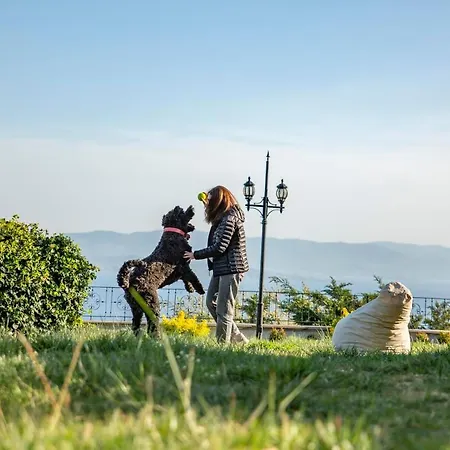 Casa Galini (adults Only) Assos