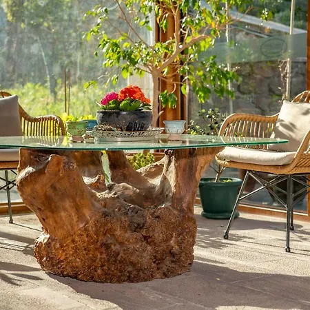 Casa Galini (adults Only) Hotell Assos